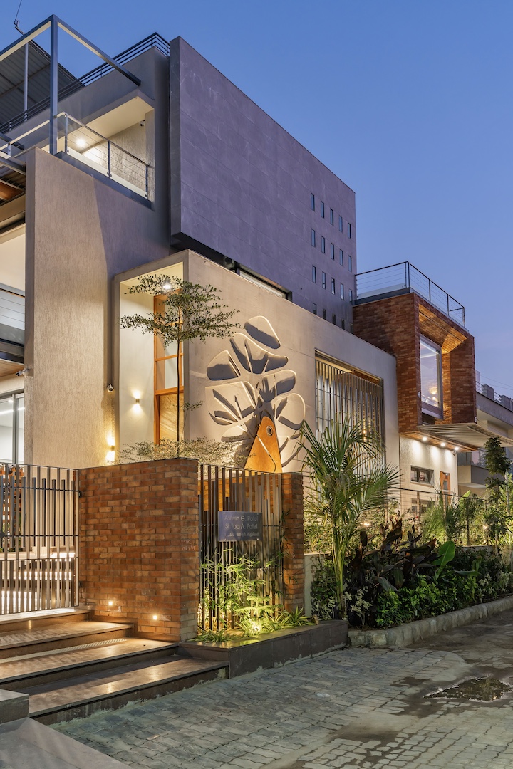 The Concrete Tree - Architecture | Interior Design